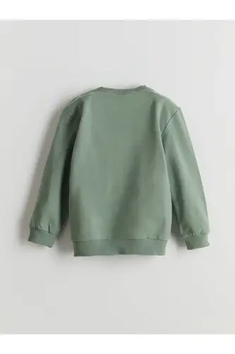 Crew Neck Printed Boy's Sweatshirt 2-Pack-Green - 5