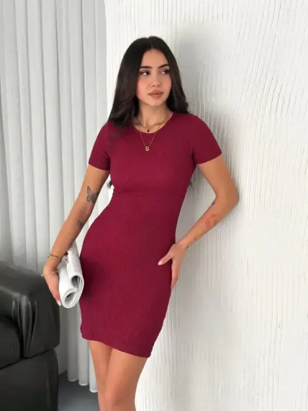 Crew Neck Short Sleeve Lycra Dress - Burgundy - 4