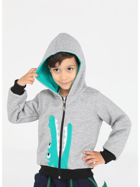 Crocodile Patterned Boys Zipper Sweatshirt - 11