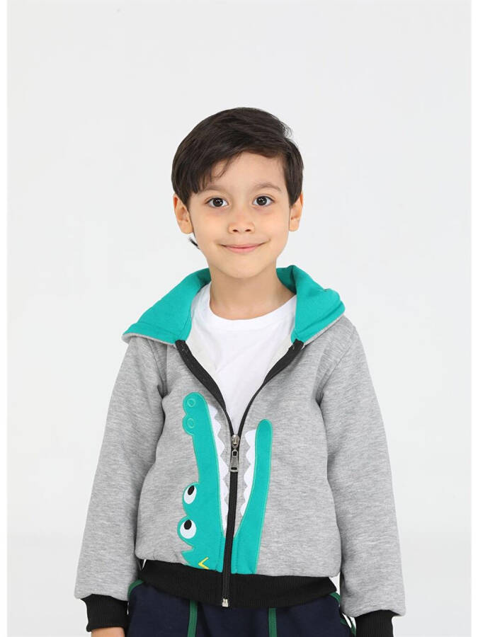 Crocodile Patterned Boys Zipper Sweatshirt - 12