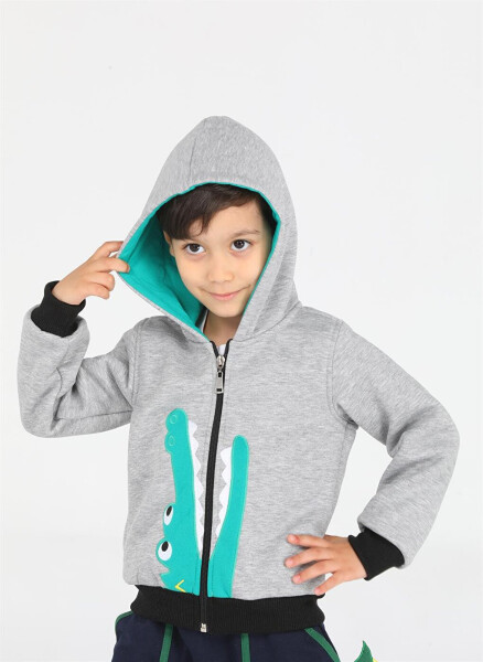 Crocodile Patterned Boys Zipper Sweatshirt - 16