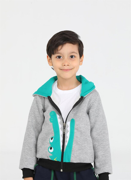 Crocodile Patterned Boys Zipper Sweatshirt - 17