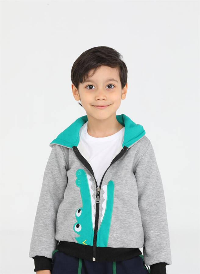 Crocodile Patterned Boys Zipper Sweatshirt - 17