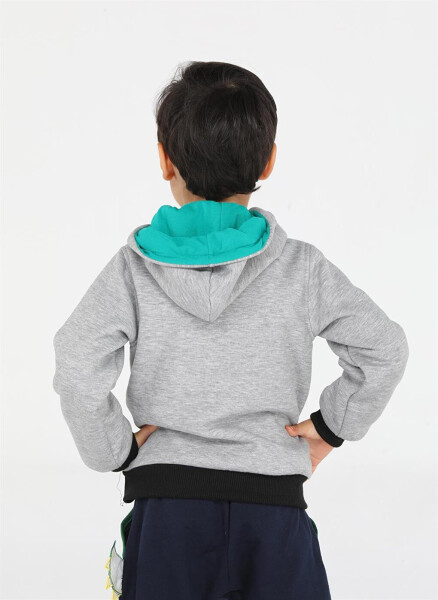 Crocodile Patterned Boys Zipper Sweatshirt - 18