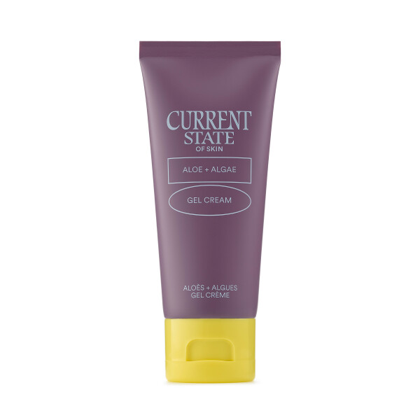 Current State Aloe Algae Lightweight Gel Cream, for Enlarged Pores and All Skin, Skincare, 2 fl oz - 2