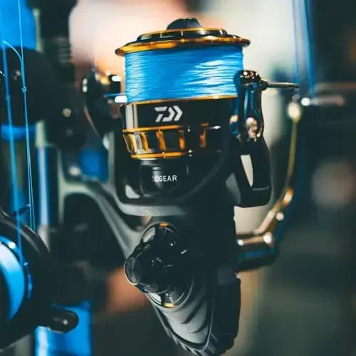Daiwa BG Spinning Reels - 5