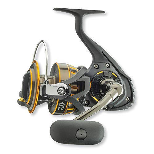 Daiwa BG8000 BG Saltwater Spinning Reel, 8000, 5.3: 1 Gear Ratio, 6+1 Bearings, 53.30” Retrieve Rate, 33 lb Max Drag, Black/gold - 1