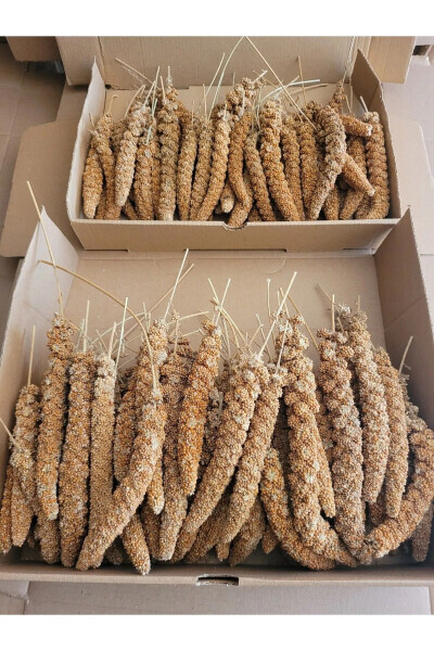 Dal Darı Protein Deposi Organik Qush Oziqi 500 gr - DOĞAL (1)