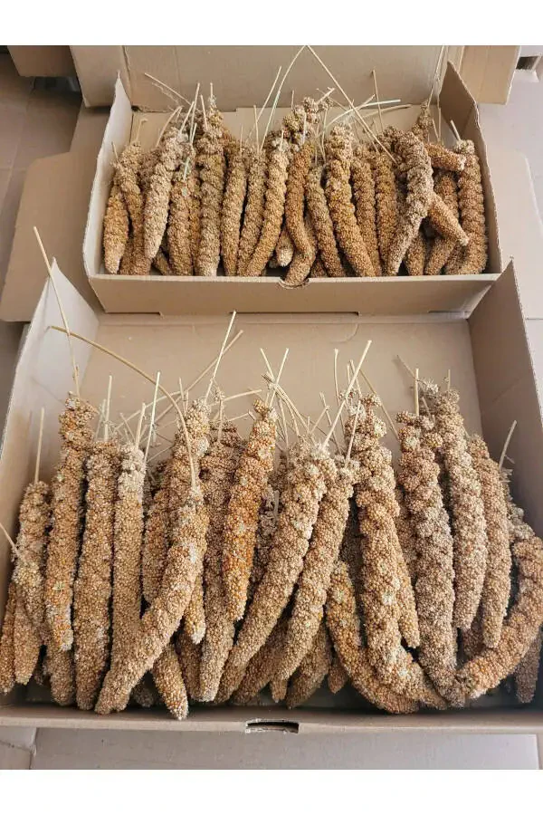 Dal Darı Protein Deposi Organik Qush Oziqi 500 gr - 2