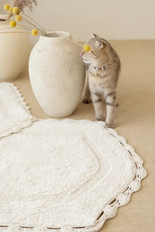 Dale Banyo Paspası 2'li Ekru 40x60+60x90-Ekru - 3