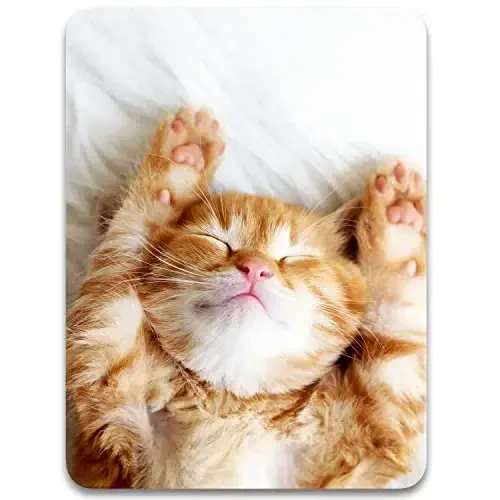 Dapesuom Small Mouse Pad, 6 x 8 Inch Thick Rubber Premium-Textured Non-Slip Portable & Washable Mini Mouse Mat for Women Men Wireless Laptops Keyboard Tray Gaming Work Computer Office Travel, Cute Cat - 1