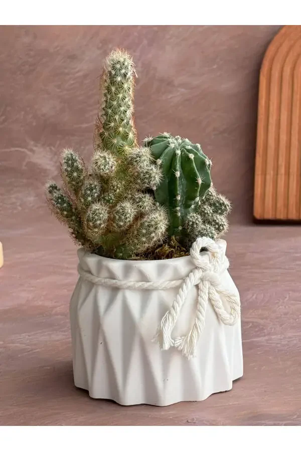 Decorative Planter Set of 2 Small Concrete Planters Suitable for Cactus and Small Plants - 2