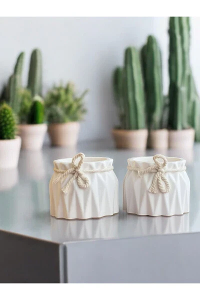 Decorative Planter Set of 2 Small Concrete Planters Suitable for Cactus and Small Plants - 3