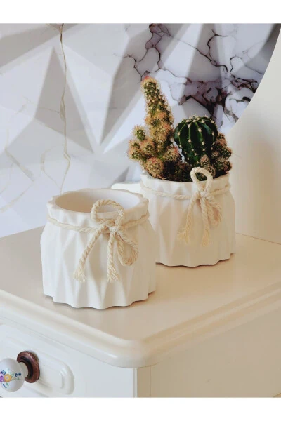 Decorative Planter Set of 2 Small Concrete Planters Suitable for Cactus and Small Plants - 4