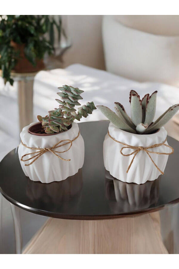 Decorative Pot Set of 2 Small Concrete Pots Suitable for Cactus and Small Plants - 1