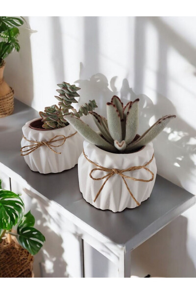 Decorative Pot Set of 2 Small Concrete Pots Suitable for Cactus and Small Plants - 2