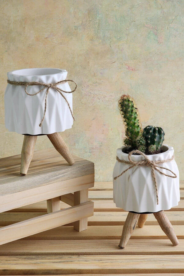 Decorative Pot, Twin Concrete Pot Set, Decorative Cactus And Succulent Pot - 8