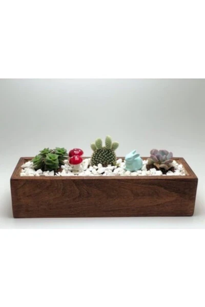 Decorative Walnut Wooden Box Succulent And Cactus Pot - GENEL MARKALAR