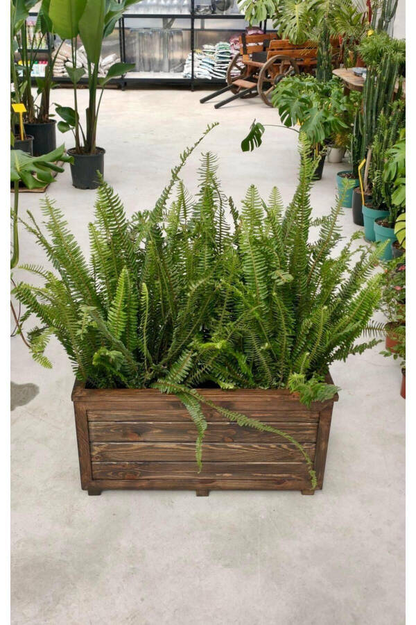 Decorative Wooden Planter - Long - 5