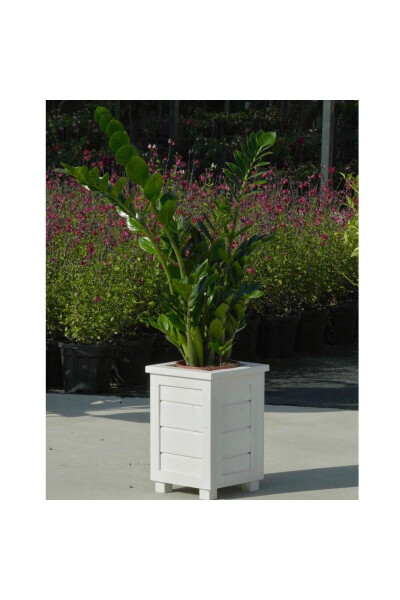 Decorative Wooden Planter - Tall - 8
