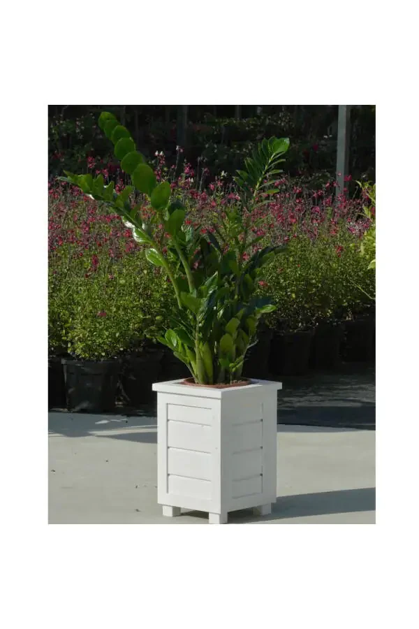 Decorative Wooden Planter - Tall - 8