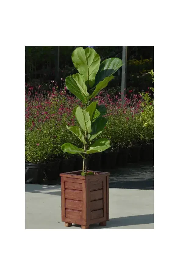 Decorative Wooden Planter - Tall - 9