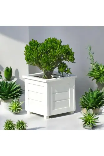 Decorative Wooden Pot - Small Size - White - 4