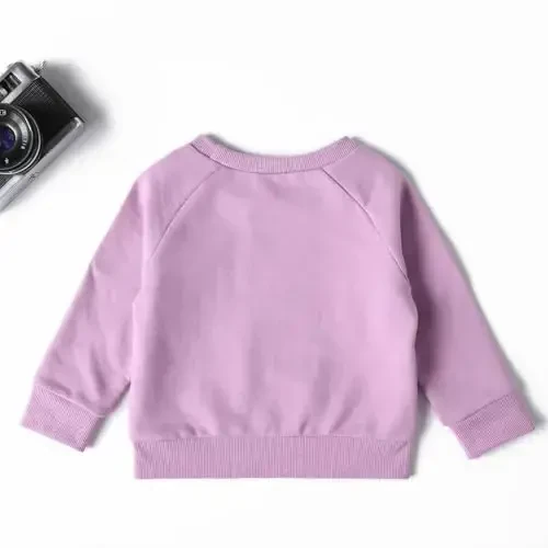 DEFAHN Toddler Baby Pullover Sweatshirt,Long Sleeve Infant Boy Girl Crewneck Active Tshirts 6 Month-3Y - 3