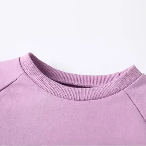 DEFAHN Toddler Baby Pullover Sweatshirt,Long Sleeve Infant Boy Girl Crewneck Active Tshirts 6 Month-3Y - 4