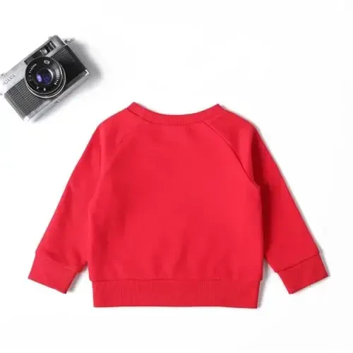 DEFAHN Toddler Baby Pullover Sweatshirt,Long Sleeve Infant Boy Girl Crewneck Active Tshirts 6 Month-3Y - MODAZONE (1)