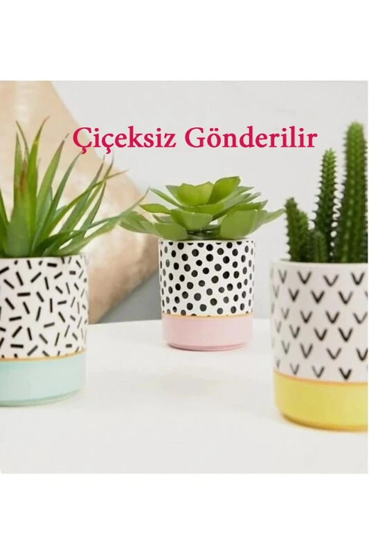 Dekobet10 3-Piece Trix Cactus/Succulent Planter or Organizer - GENEL MARKALAR