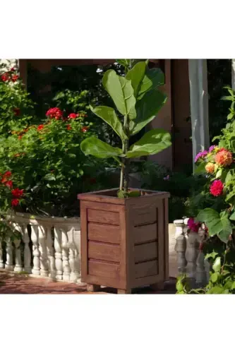 Dekoratif Ahşap Saksı- Yüksek-Maun - 4