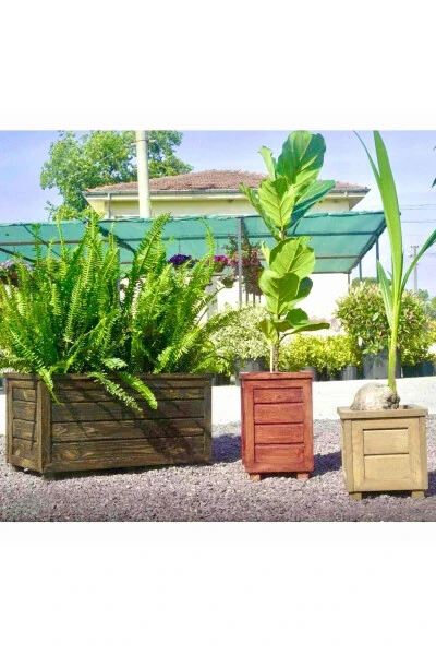 Dekorativ Yog'och G'o'za - Uzun - 14