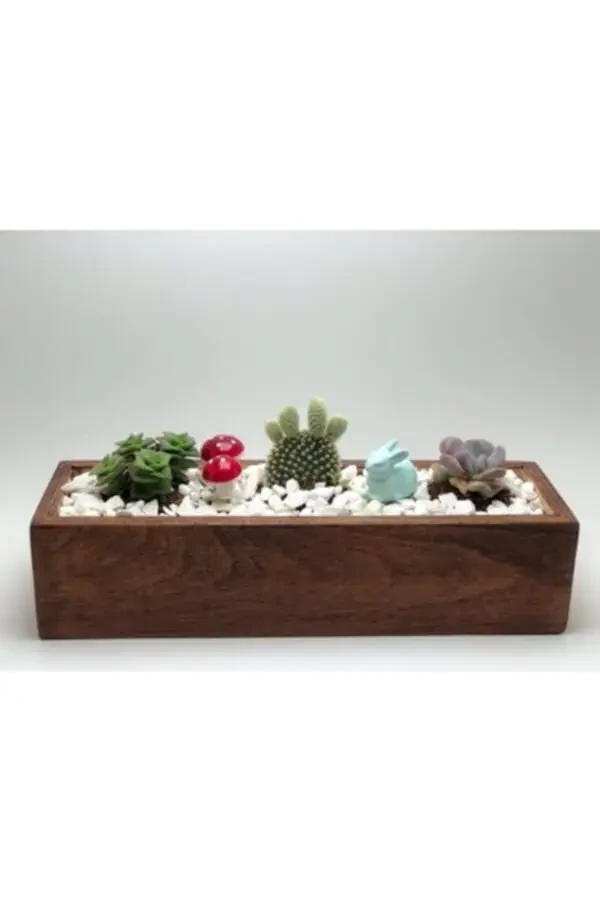 Декоративная деревянная коробка цвета ореха для суккулентов и кактусов - 1