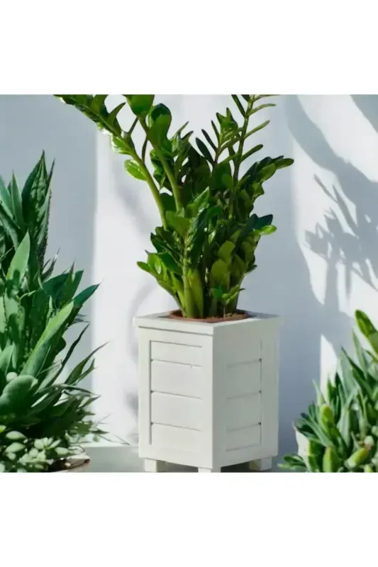 Декоративный Деревянный Горшок - Высокий - Белый - 4