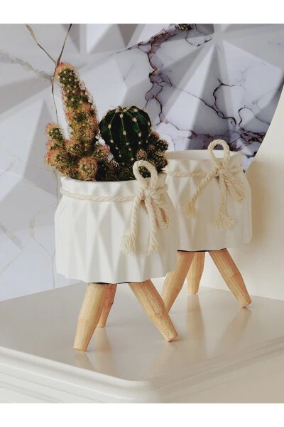 Декоративный горшок, Набор из двух бетонных горшков, Декоративный горшок для кактусов и суккулентов - SERENGETI (1)