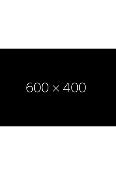 Sea Buckthorn Dengeleyici Yüz Kremi Yağlı ve Karma Ciltler 50 ml - CELENES BY SWEDEN (1)