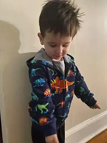 Детские толстовки с капюшоном Popshion Boys, мультяшные динозавры, длинный рукав, молния, спортивная кофта для детей 1-7 лет - 3