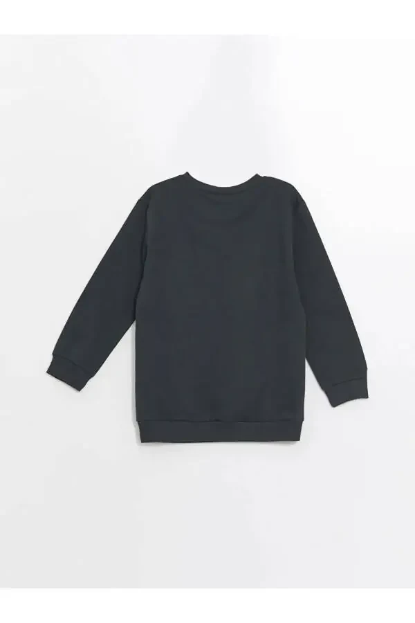 Детский свитшот LCW с длинным рукавом, круглой горловиной и принтом для мальчиков 2 шт. - 4