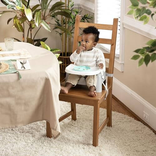 Детское кресло для кормления Summer Infant Deluxe Learn-to-Dine – стул для кормления для младенцев и малышей, а также бустер с подносом и 2 съемными тарелками - 31