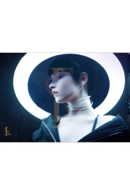 Die-Cast Stand 21 Inch Ring Light 54cm Remote Controlled with Bag-21 INCH - 5