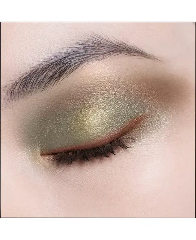 Diorshow 5 Couleurs Couture Eyeshadow Palette-343 Khaki - 5