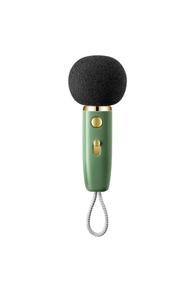 Ditoo-mic Yashil Karaoke Mikrofonli Moslashtirilgan Piksel Ekranli Bluetooth Karnayka - DIVOOM (1)