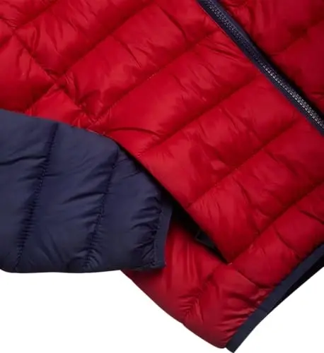 DKNY Boys Puffer Jacket - Midweight Insulated Wind Water Resistant Hooded Puffer Winter Coat - Quilted Winter Jacket for Boys - 3