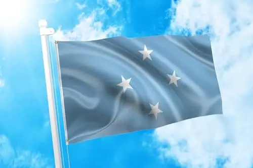 DMSE Federated States of Micronesia Flag 3ft x 5ft 100% Polyester 100D Flag - DMSE Wholesale (1)