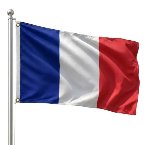DMSE France National Flag, 2ft x 3ft - Fade-Resistant Outdoor & Indoor Flag - Quad-Stitched Fly End & Heavy-Duty Brass Grommets (2ft x 3ft) - 1