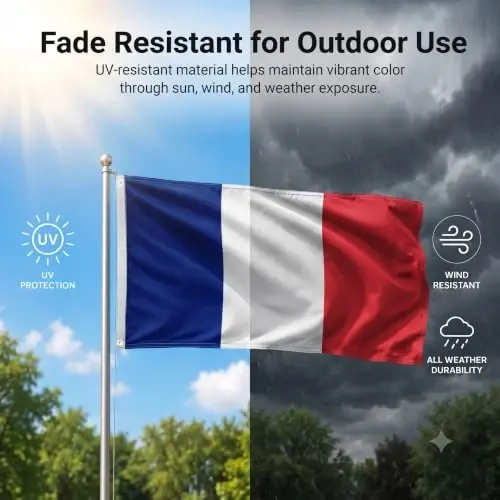 DMSE France National Flag, 2ft x 3ft - Fade-Resistant Outdoor & Indoor Flag - Quad-Stitched Fly End & Heavy-Duty Brass Grommets (2ft x 3ft) - 3