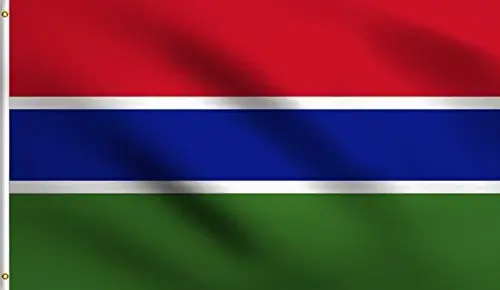 DMSE Gambia Flag 3ft x 5ft 100% Polyester 100D Flag - 1