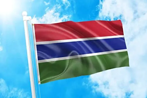 DMSE Gambia Flag 3ft x 5ft 100% Polyester 100D Flag - 2