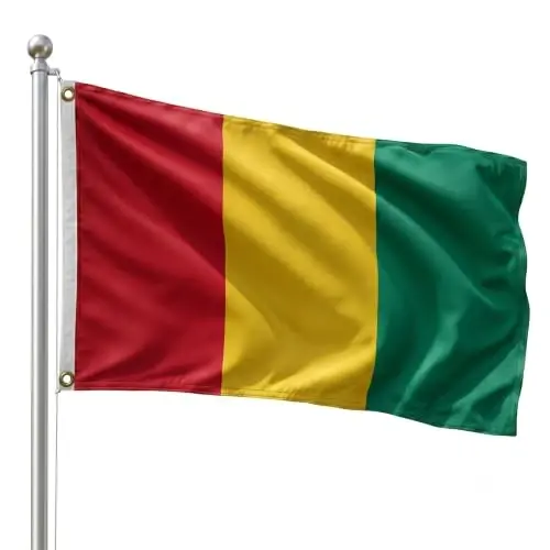 DMSE Guinea National Flag, 3ft x 5ft - Fade-Resistant Outdoor & Indoor Flag - Quad-Stitched Fly End & Heavy-Duty Brass Grommets (3ft x 5ft) - 1